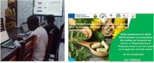 Atelier préparatoire de l’atelier DELPHI sur la phytomédecine et la phytopharmacie au Bénin