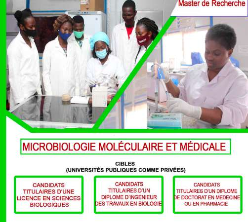 Étudiants en laboratoire de microbiologie moléculaire
